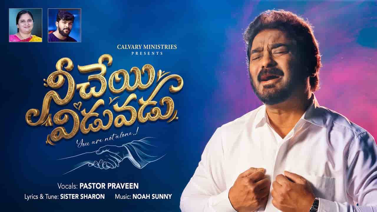 Nee Cheyi Viduvadu Song Lyrics